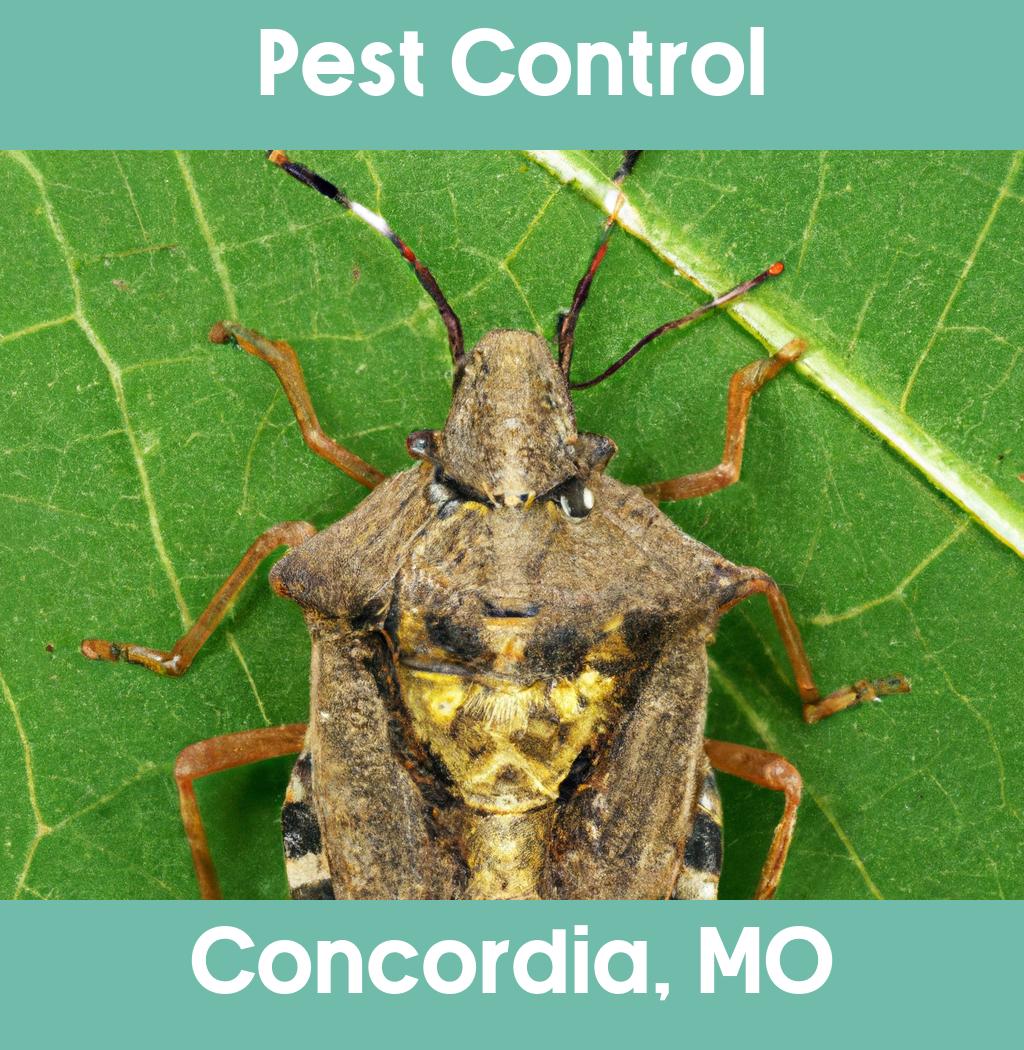 pest control in Concordia Missouri
