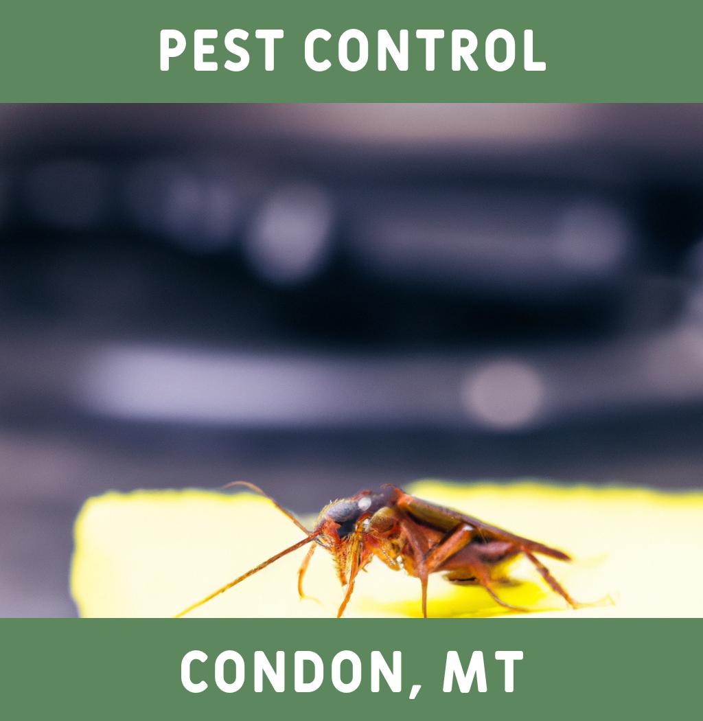 pest control in Condon Montana