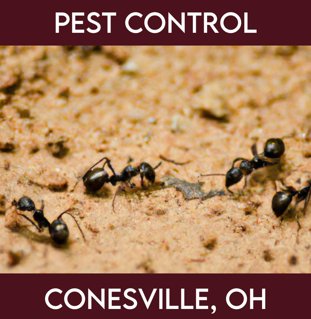 pest control in Conesville Ohio