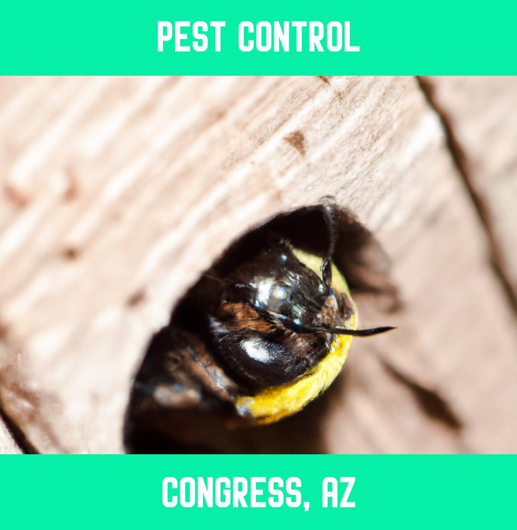 pest control in Congress Arizona