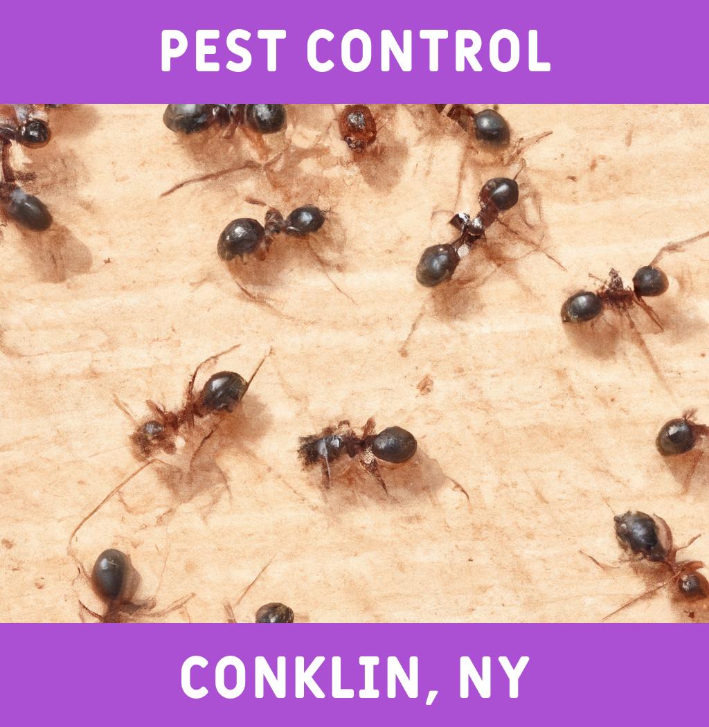 pest control in Conklin New York