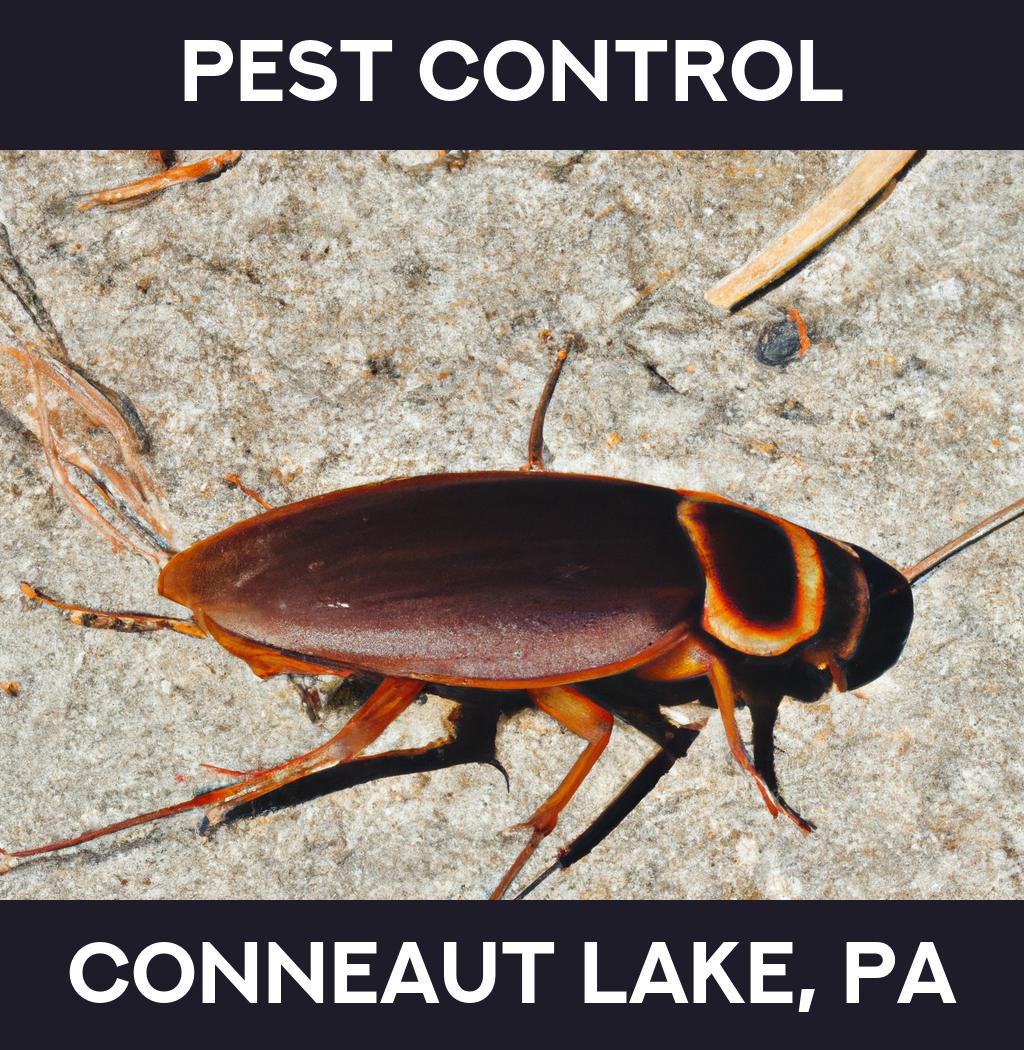 pest control in Conneaut Lake Pennsylvania