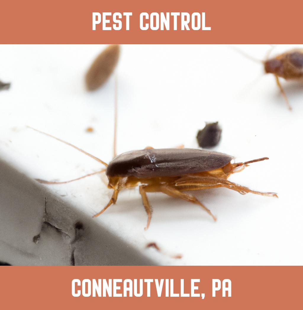 pest control in Conneautville Pennsylvania