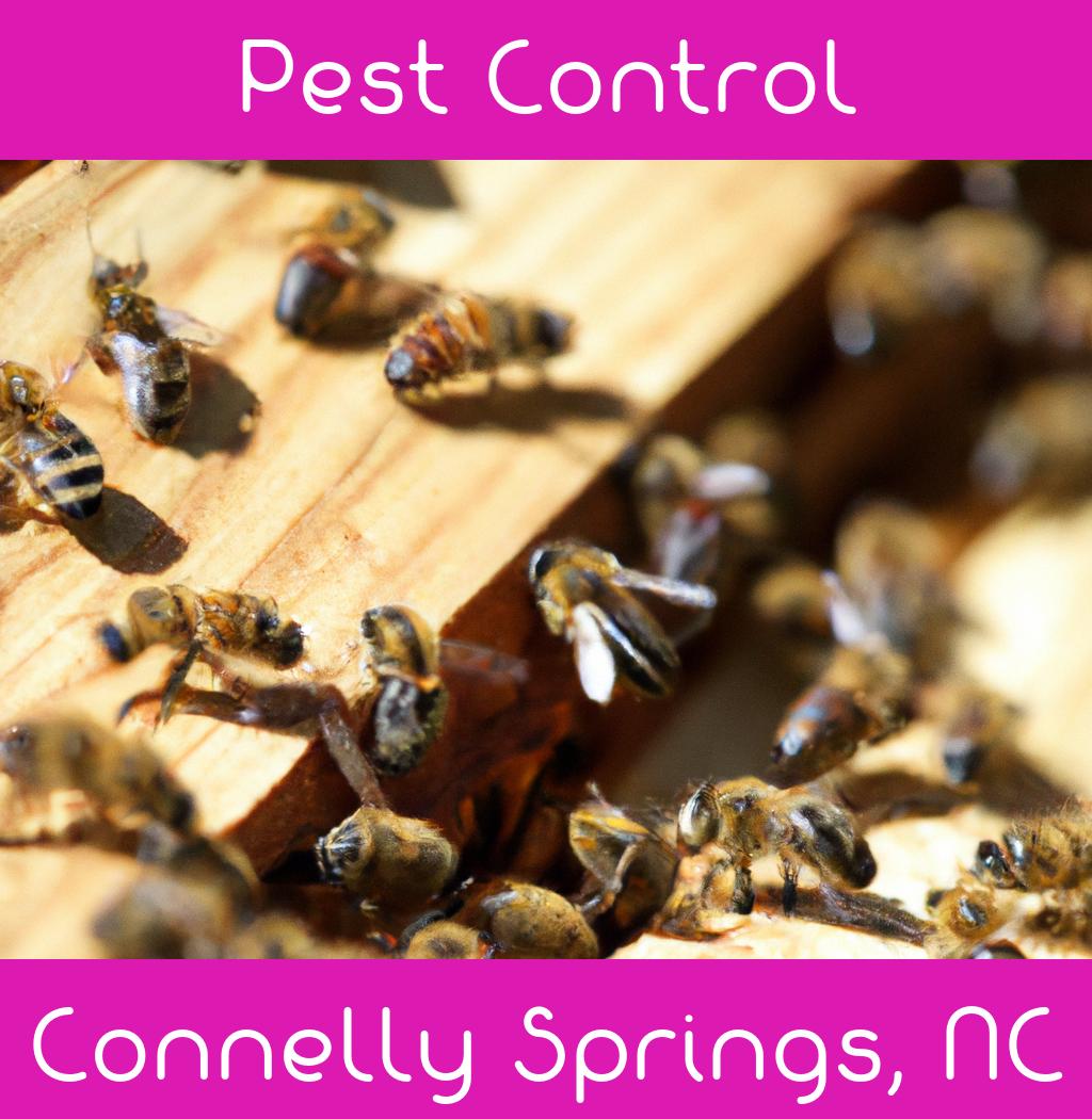 pest control in Connelly Springs North Carolina