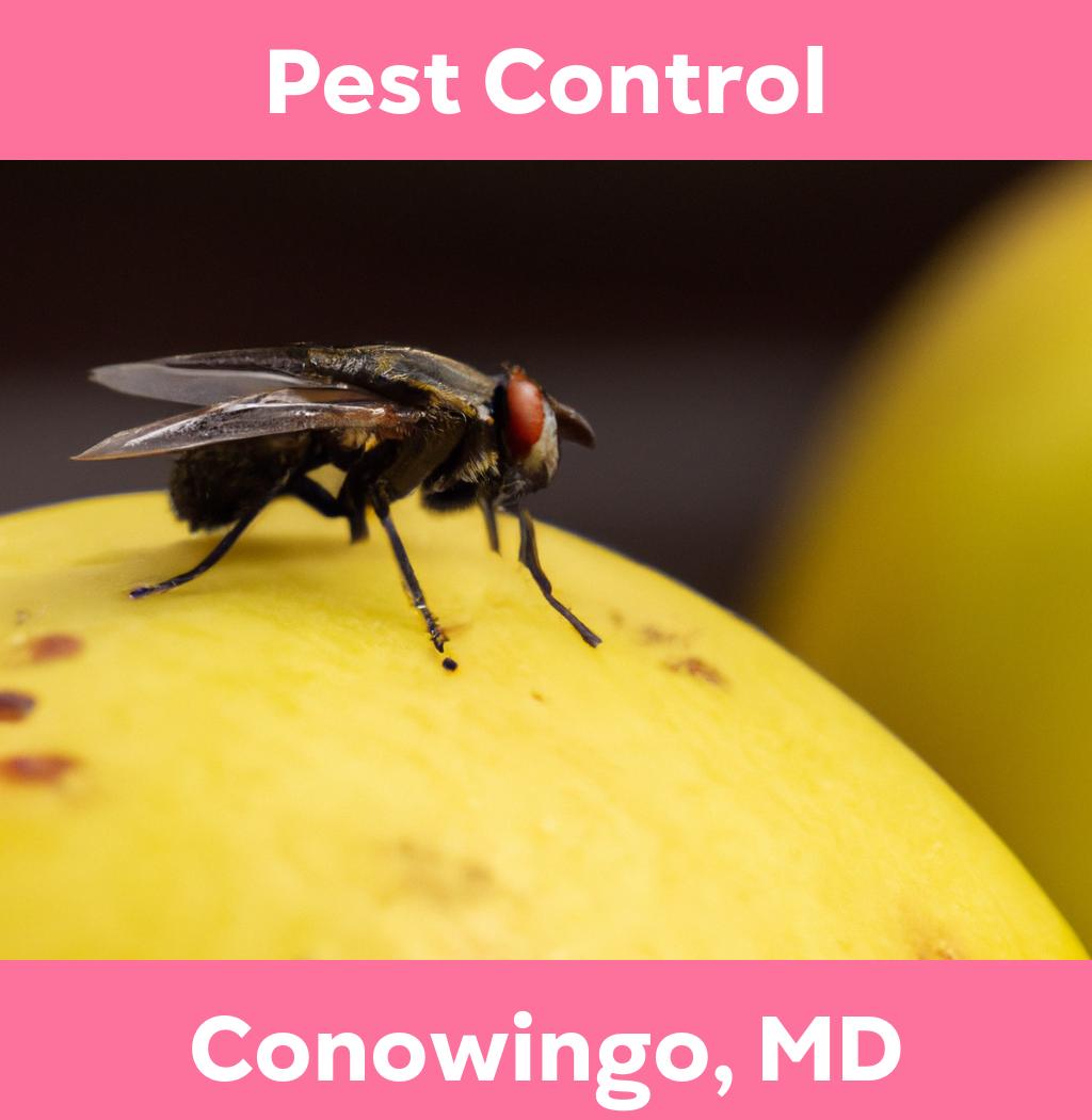 pest control in Conowingo Maryland