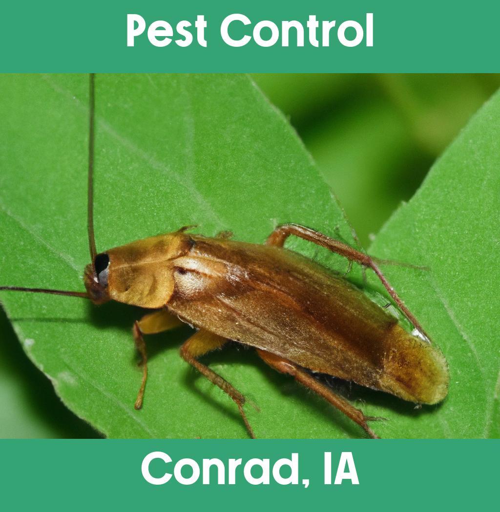 pest control in Conrad Iowa