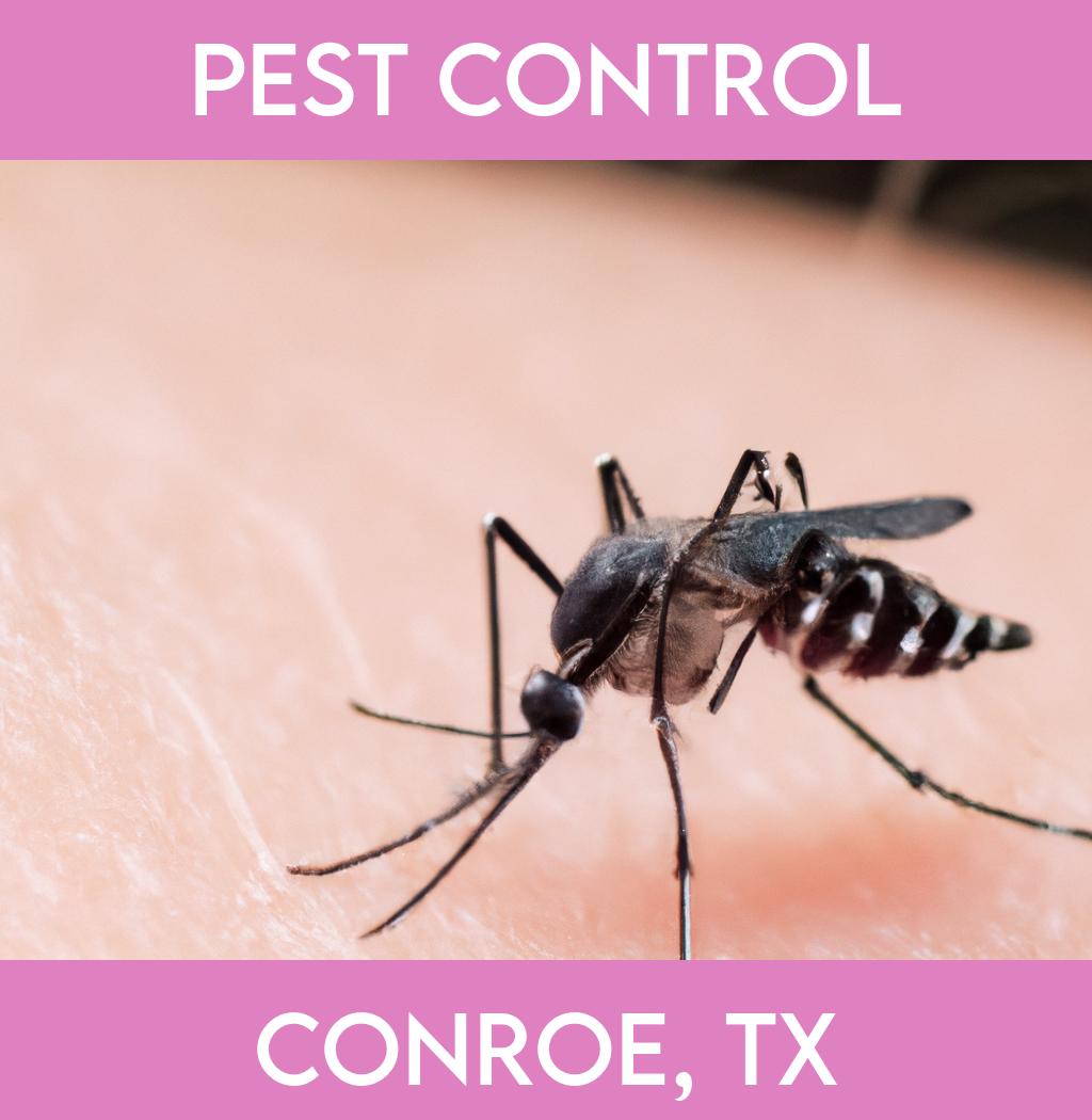 pest control in Conroe Texas