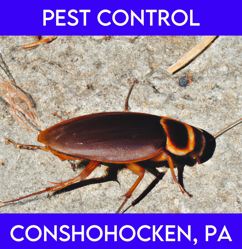 pest control in Conshohocken Pennsylvania