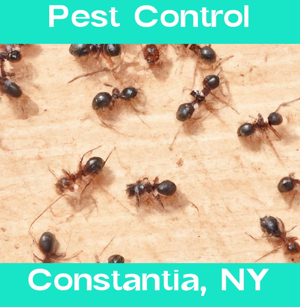 pest control in Constantia New York