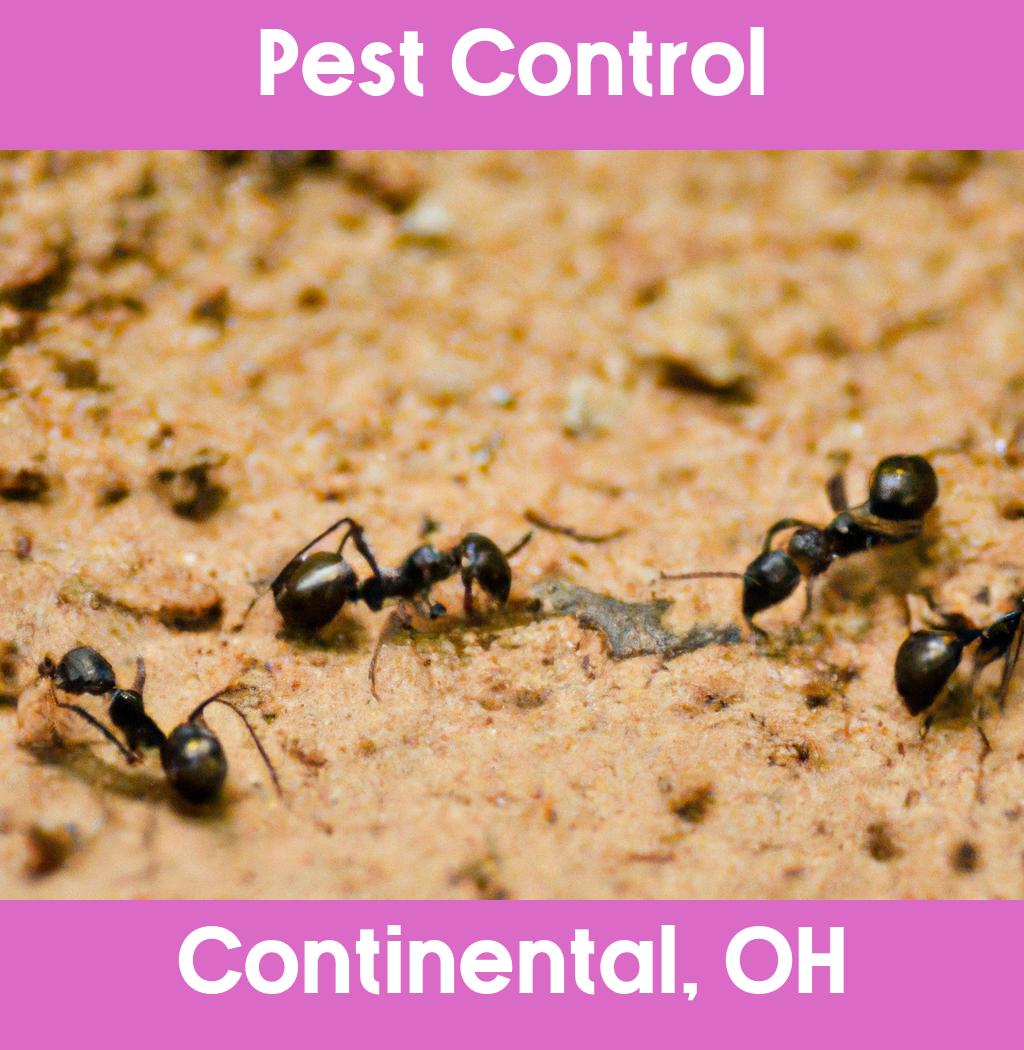 pest control in Continental Ohio