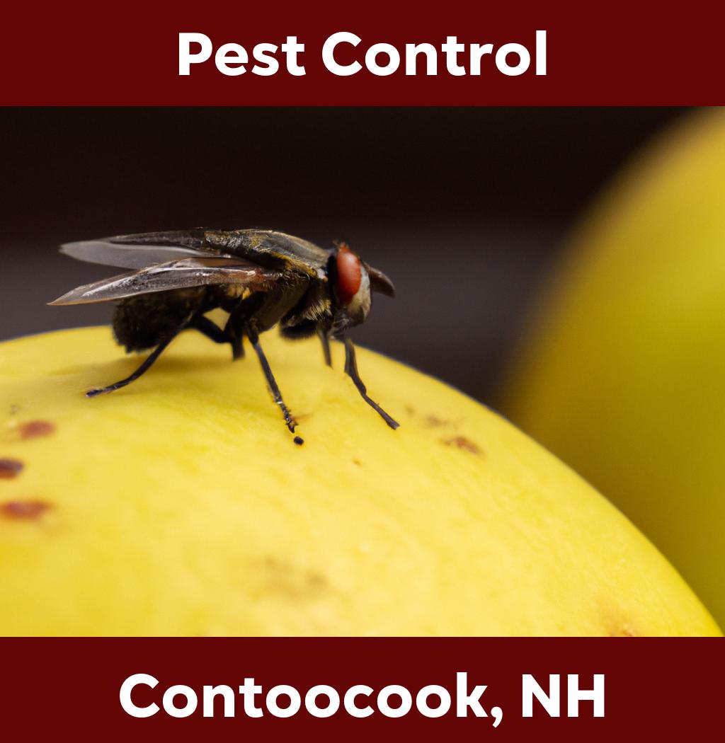 pest control in Contoocook New Hampshire