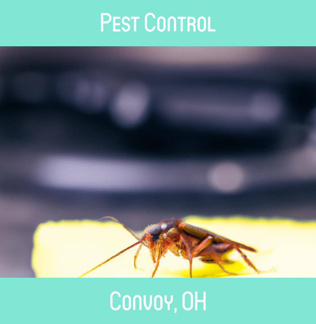 pest control in Convoy Ohio