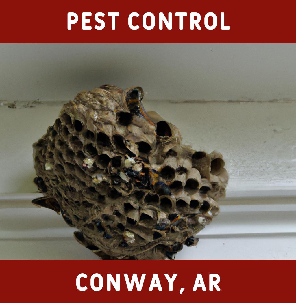 pest control in Conway Arkansas