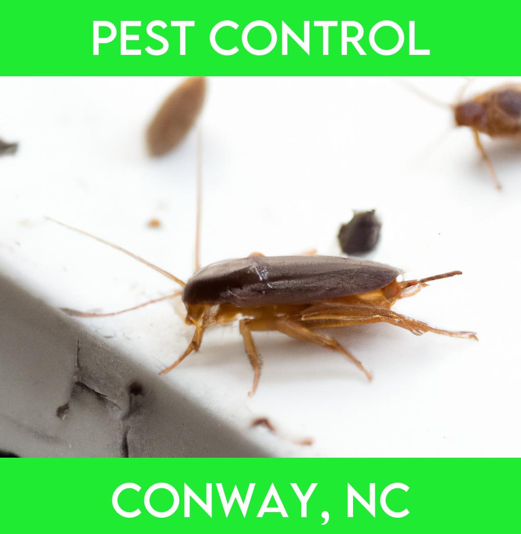 pest control in Conway North Carolina