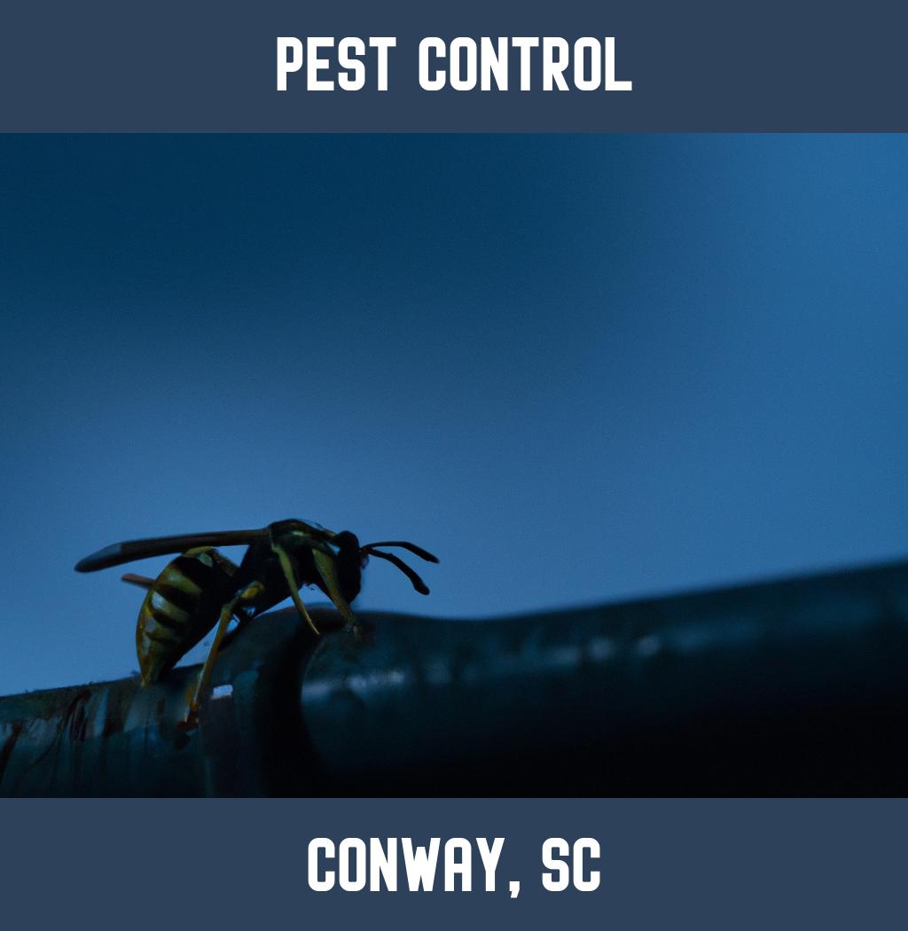 pest control in Conway South Carolina