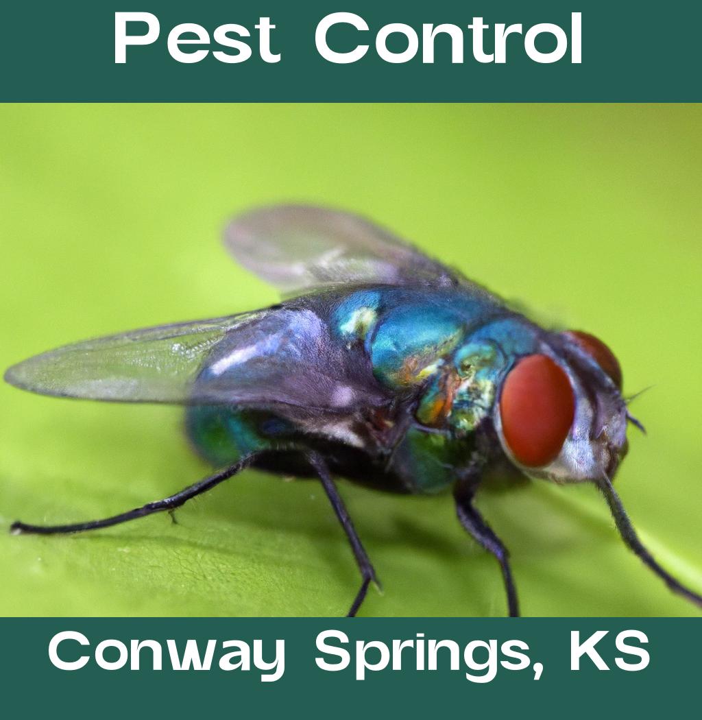 pest control in Conway Springs Kansas