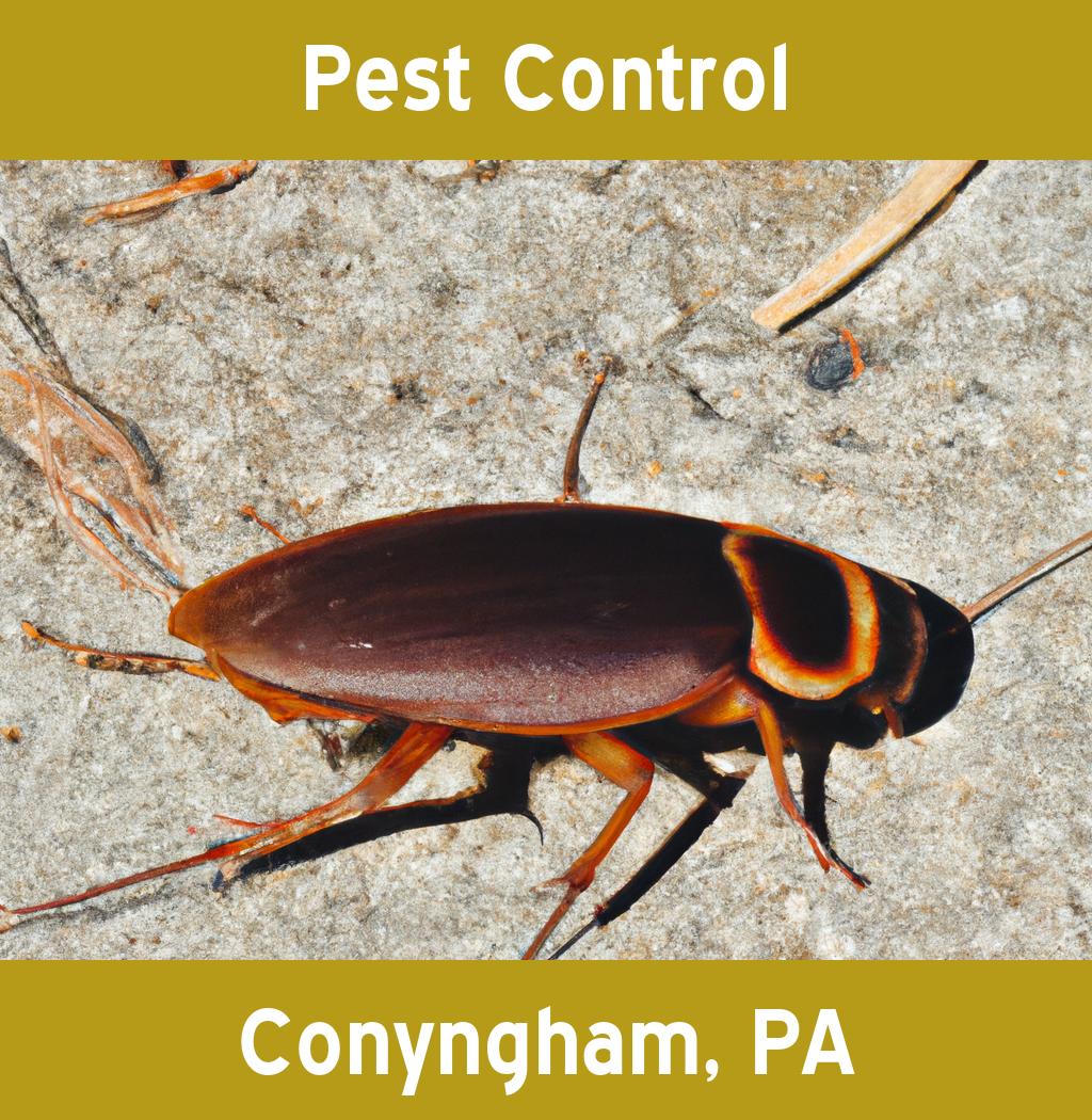 pest control in Conyngham Pennsylvania