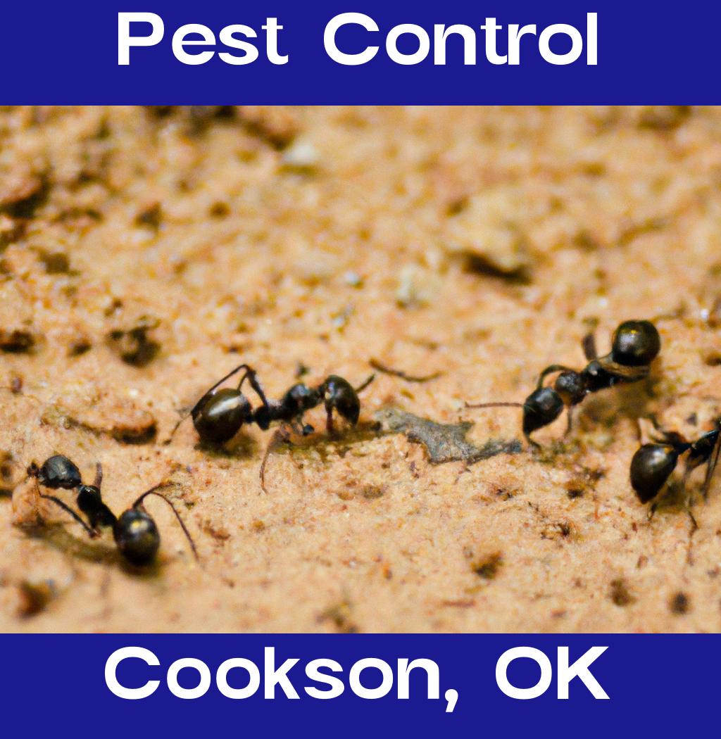pest control in Cookson Oklahoma