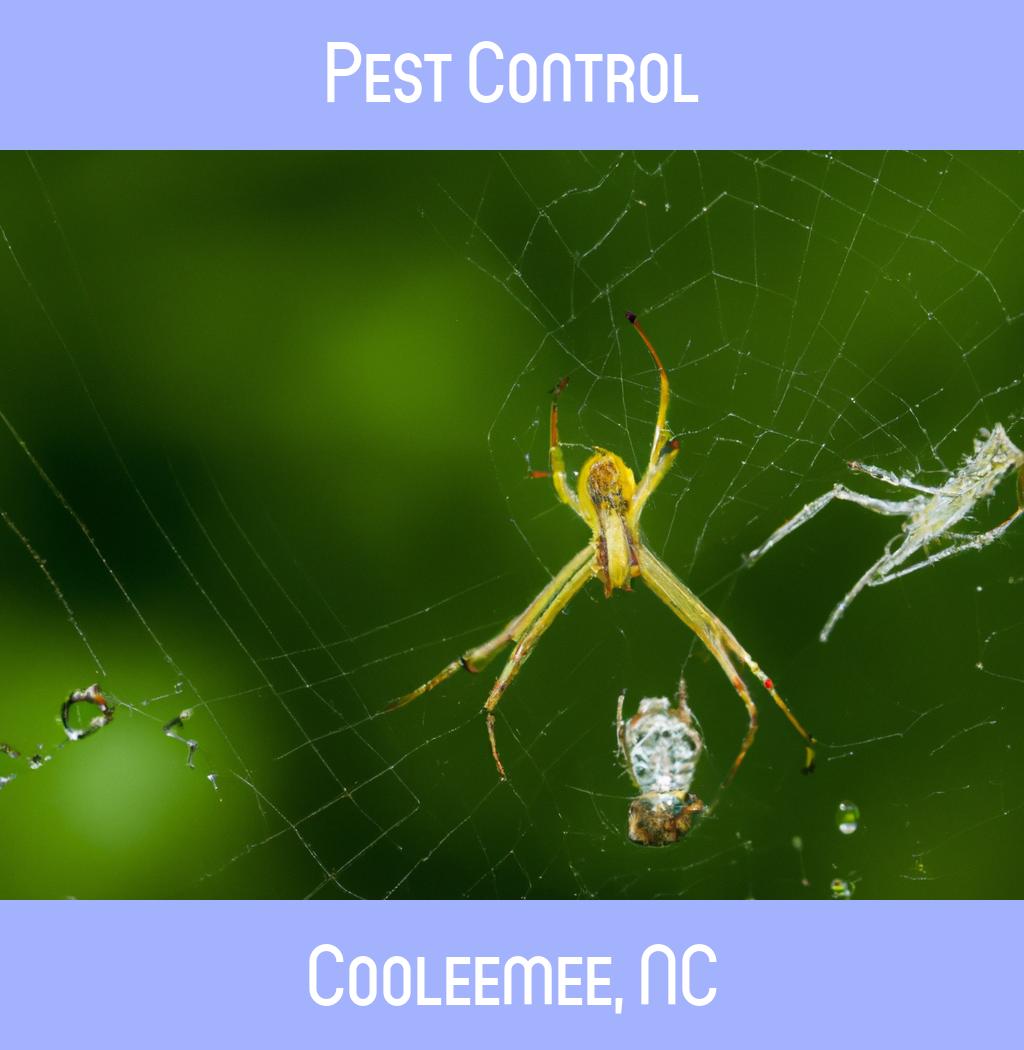 pest control in Cooleemee North Carolina