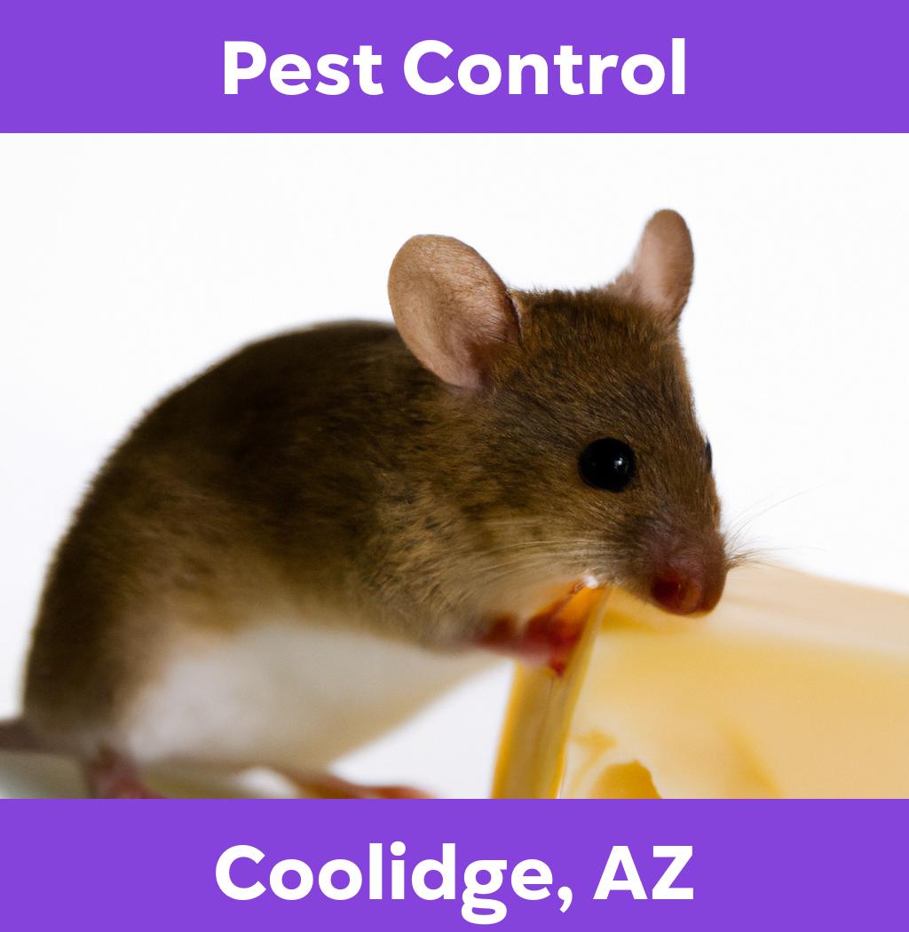 pest control in Coolidge Arizona