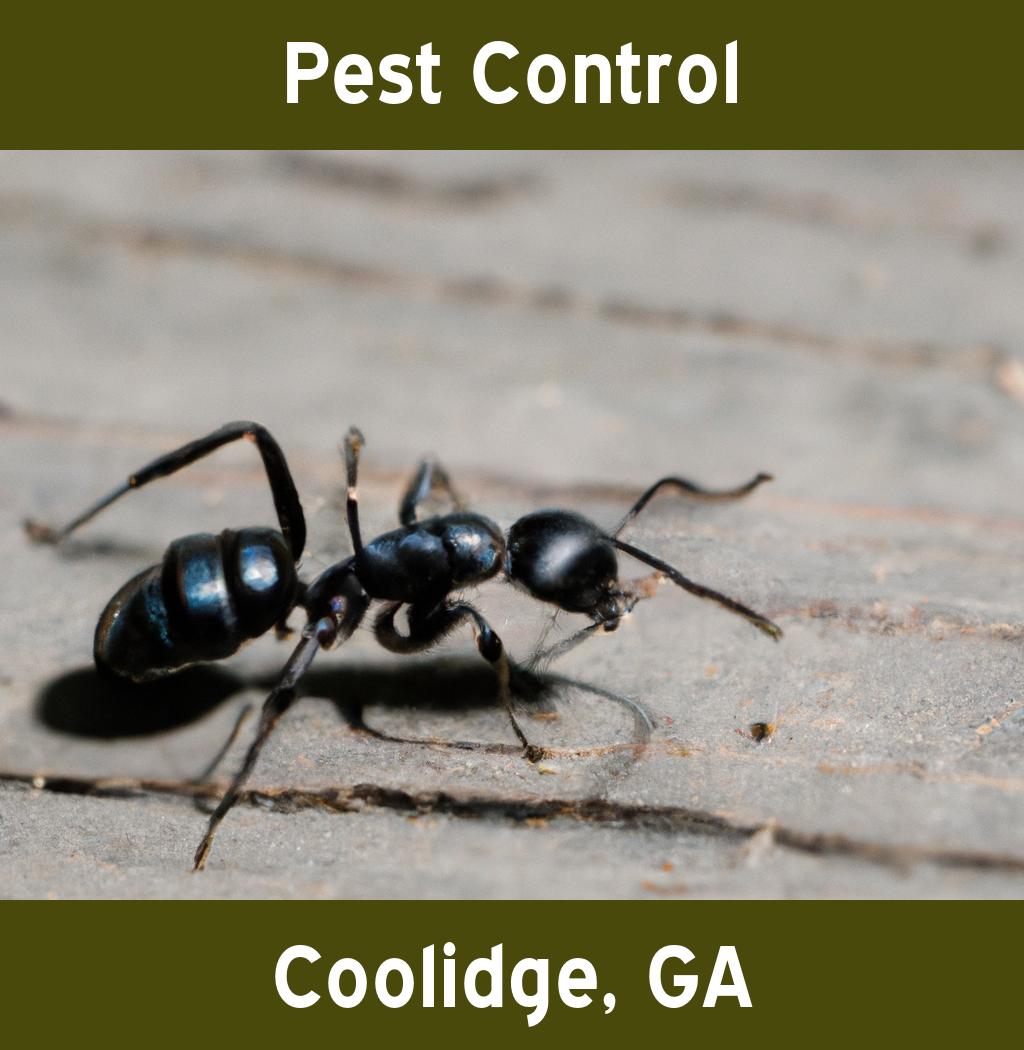 pest control in Coolidge Georgia