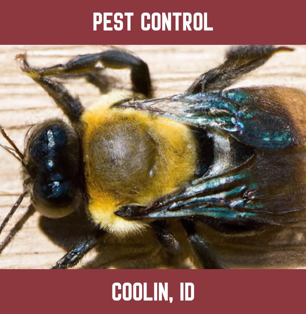 pest control in Coolin Idaho