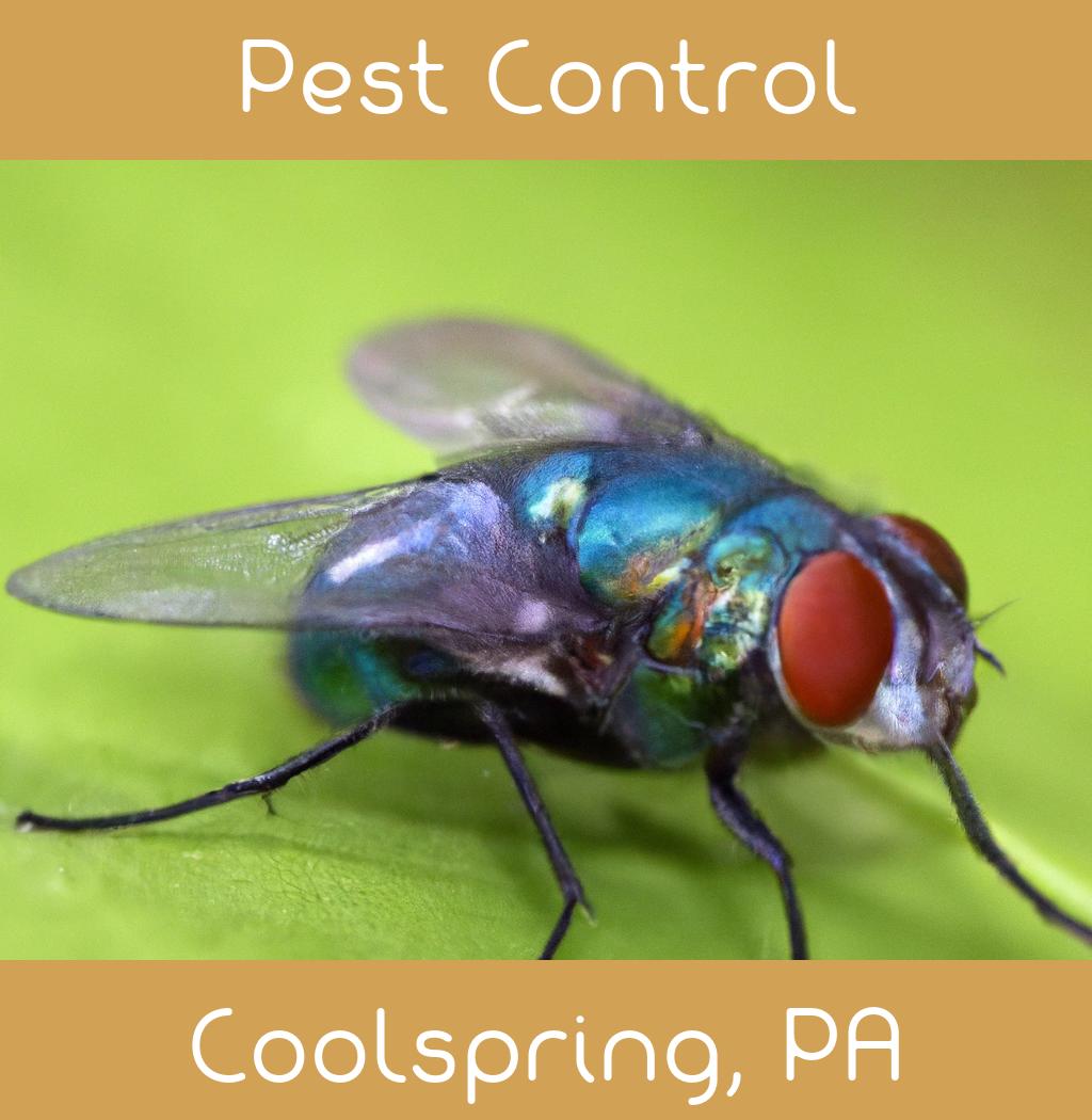 pest control in Coolspring Pennsylvania