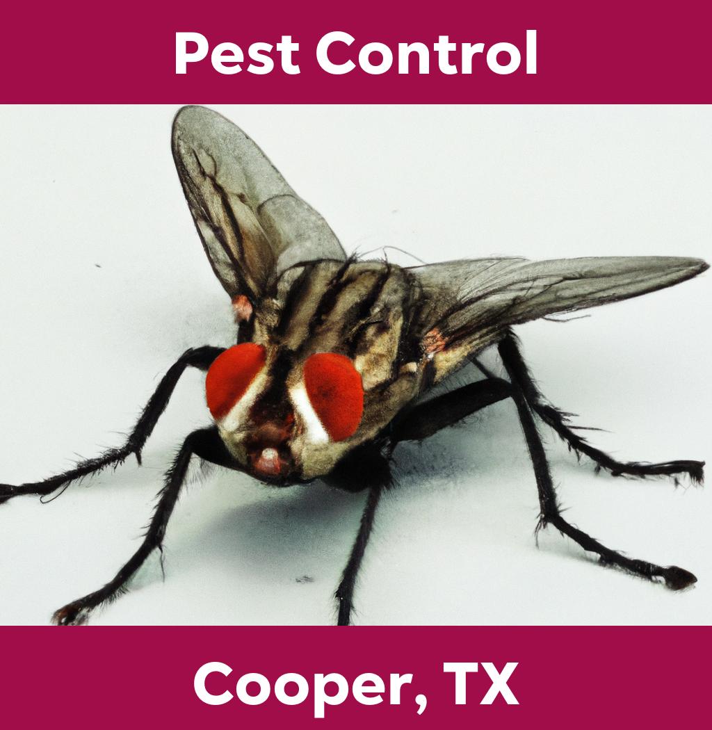 pest control in Cooper Texas