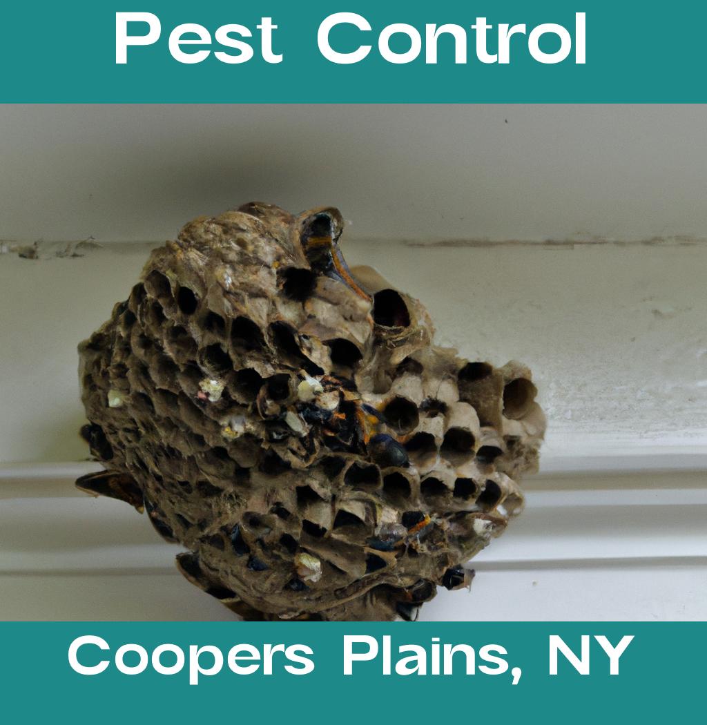 pest control in Coopers Plains New York