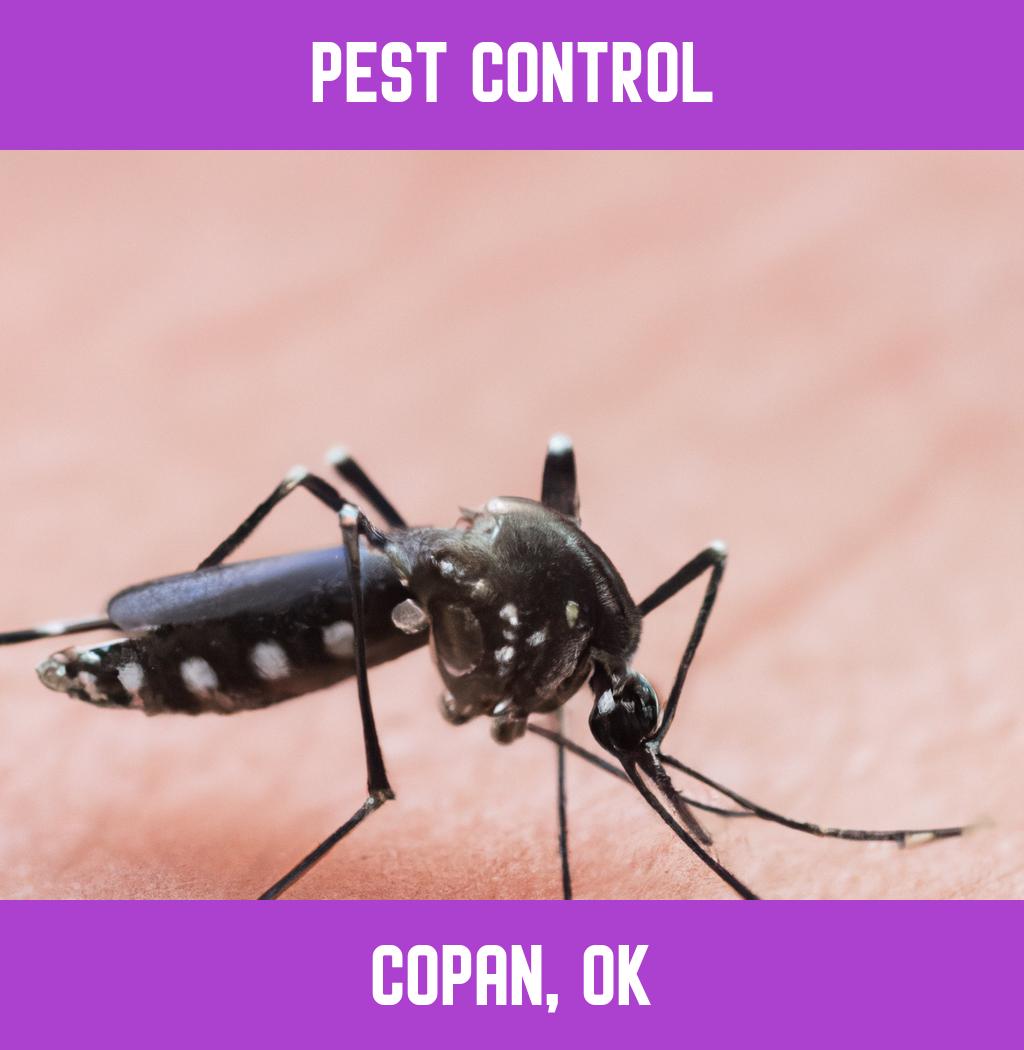 pest control in Copan Oklahoma