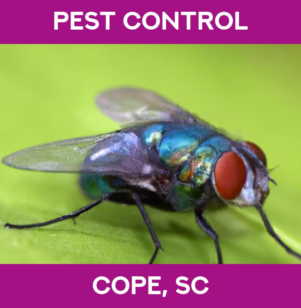 pest control in Cope South Carolina