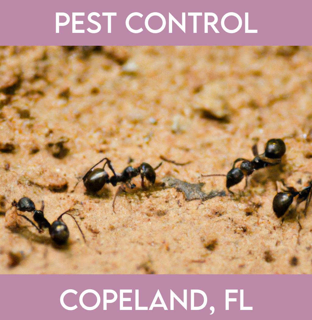 pest control in Copeland Florida