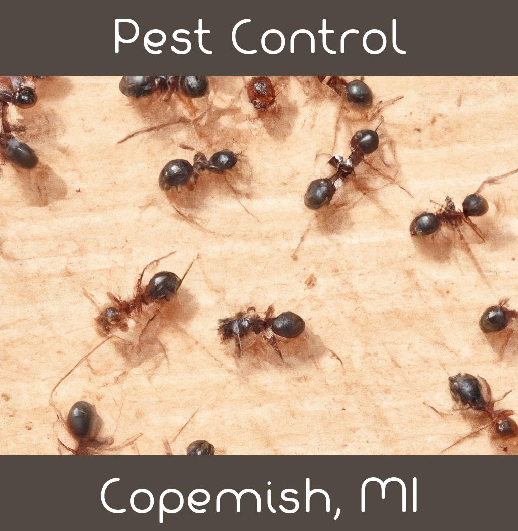pest control in Copemish Michigan