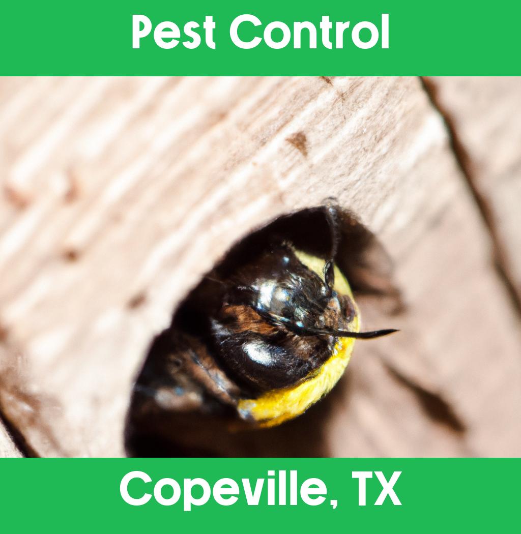 pest control in Copeville Texas