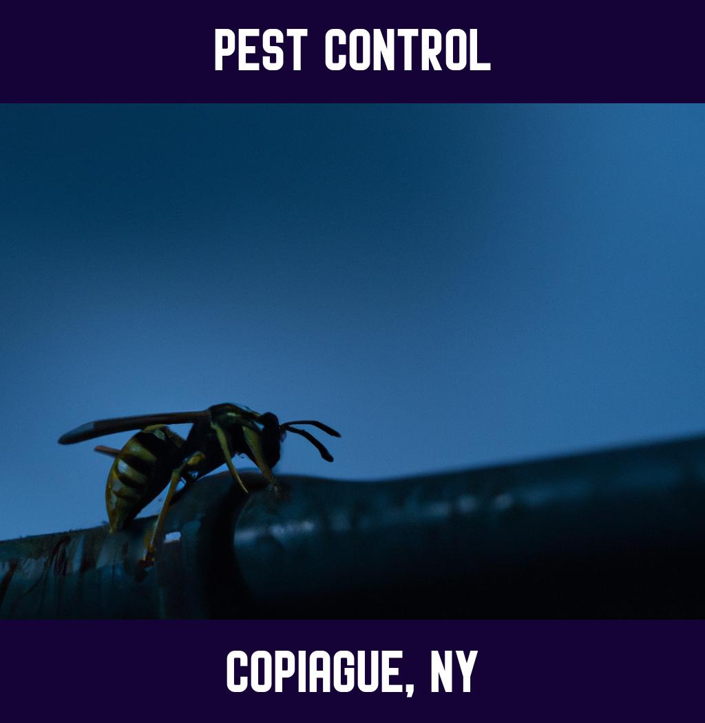 pest control in Copiague New York