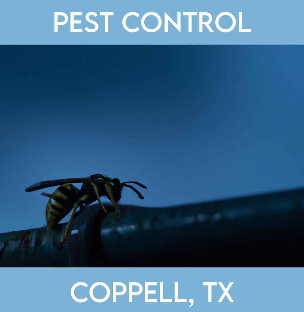 pest control in Coppell Texas