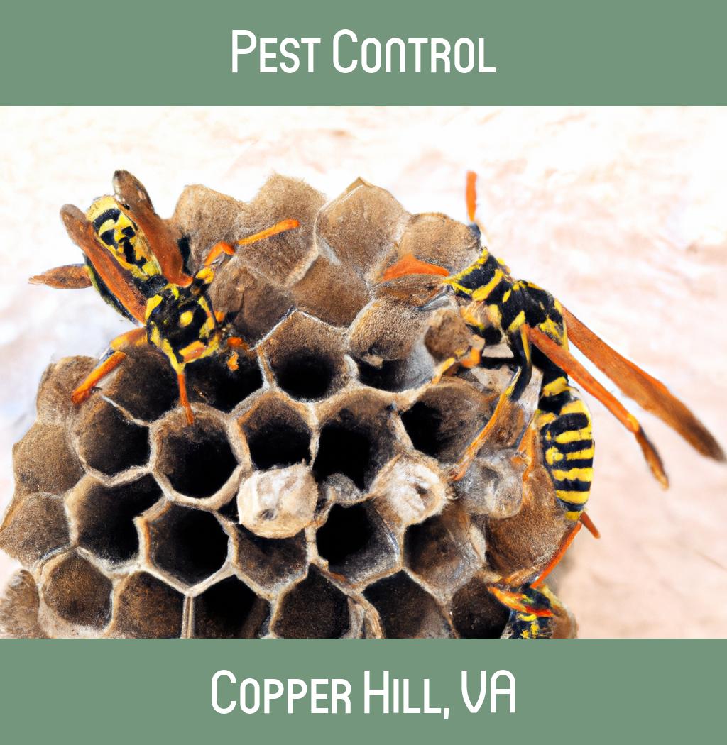 pest control in Copper Hill Virginia