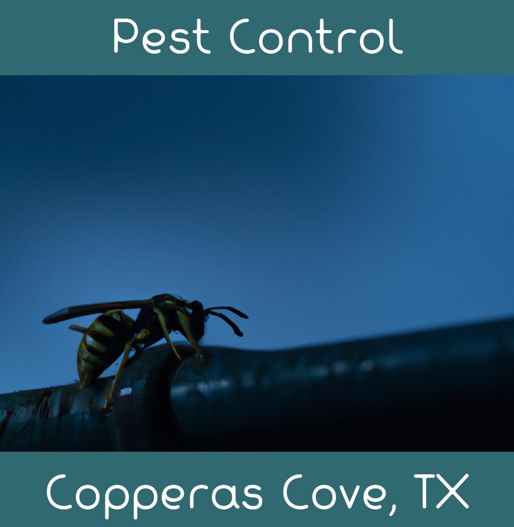 pest control in Copperas Cove Texas