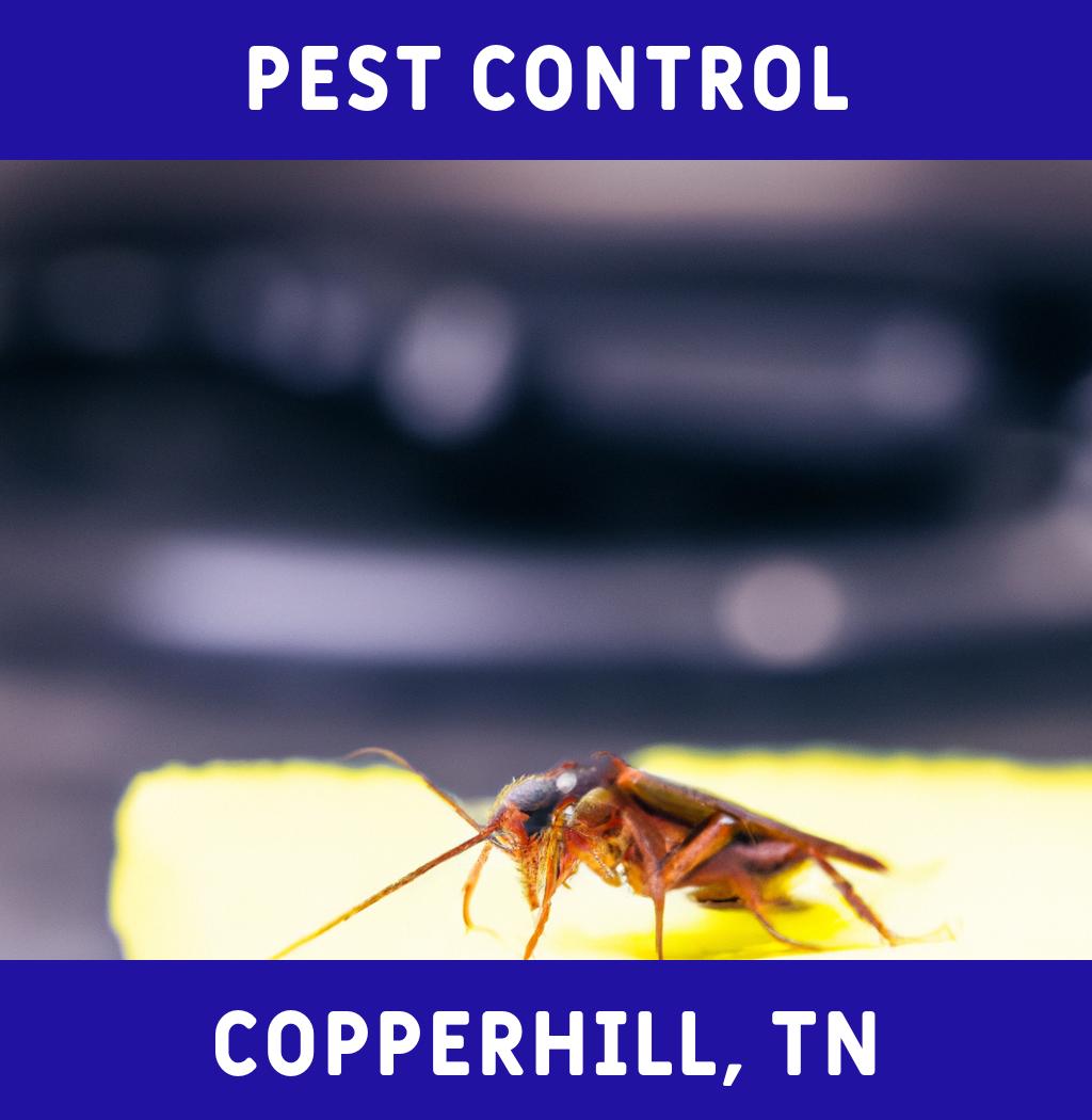 pest control in Copperhill Tennessee