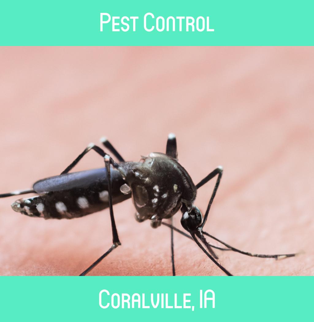 pest control in Coralville Iowa