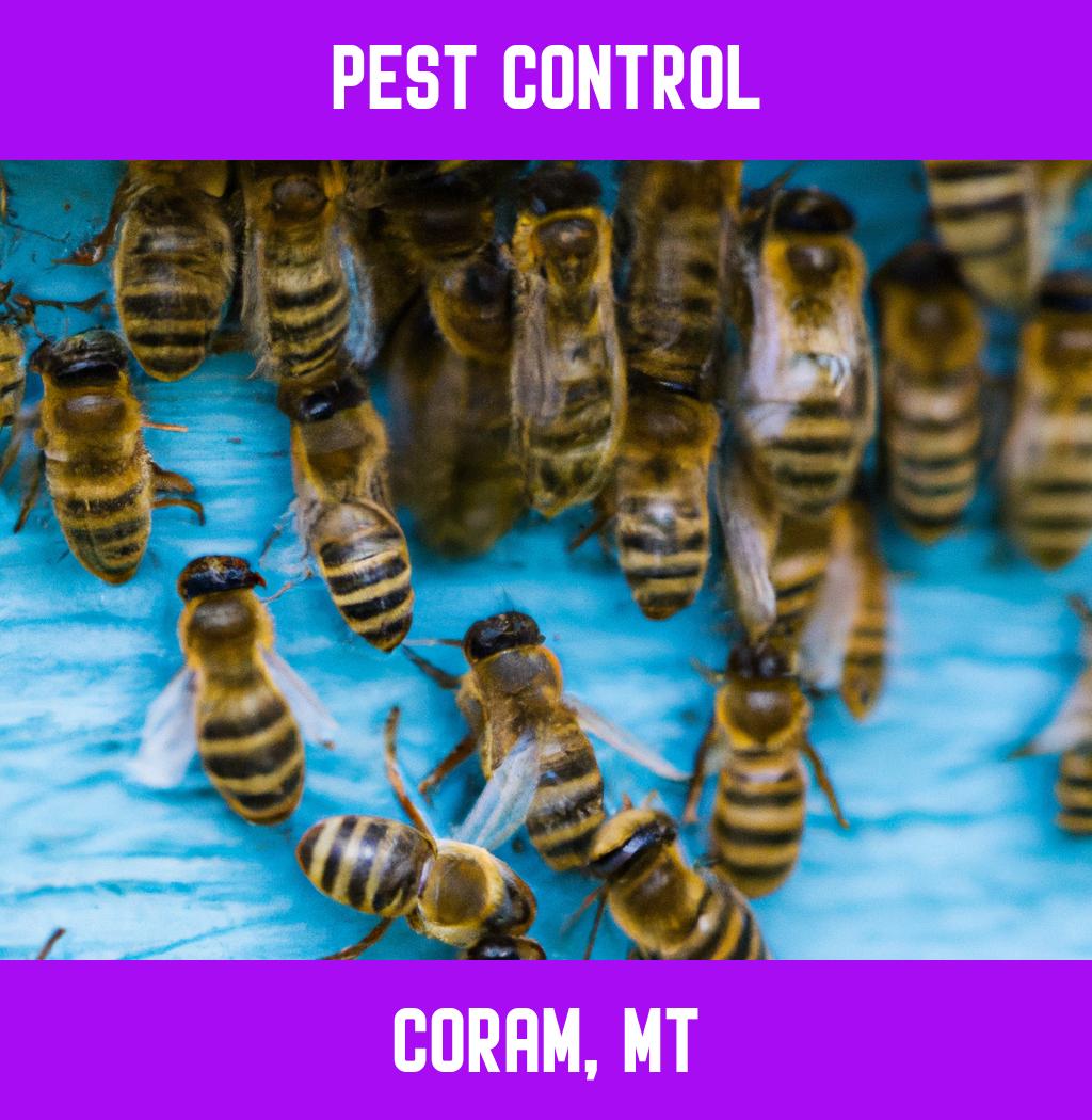 pest control in Coram Montana