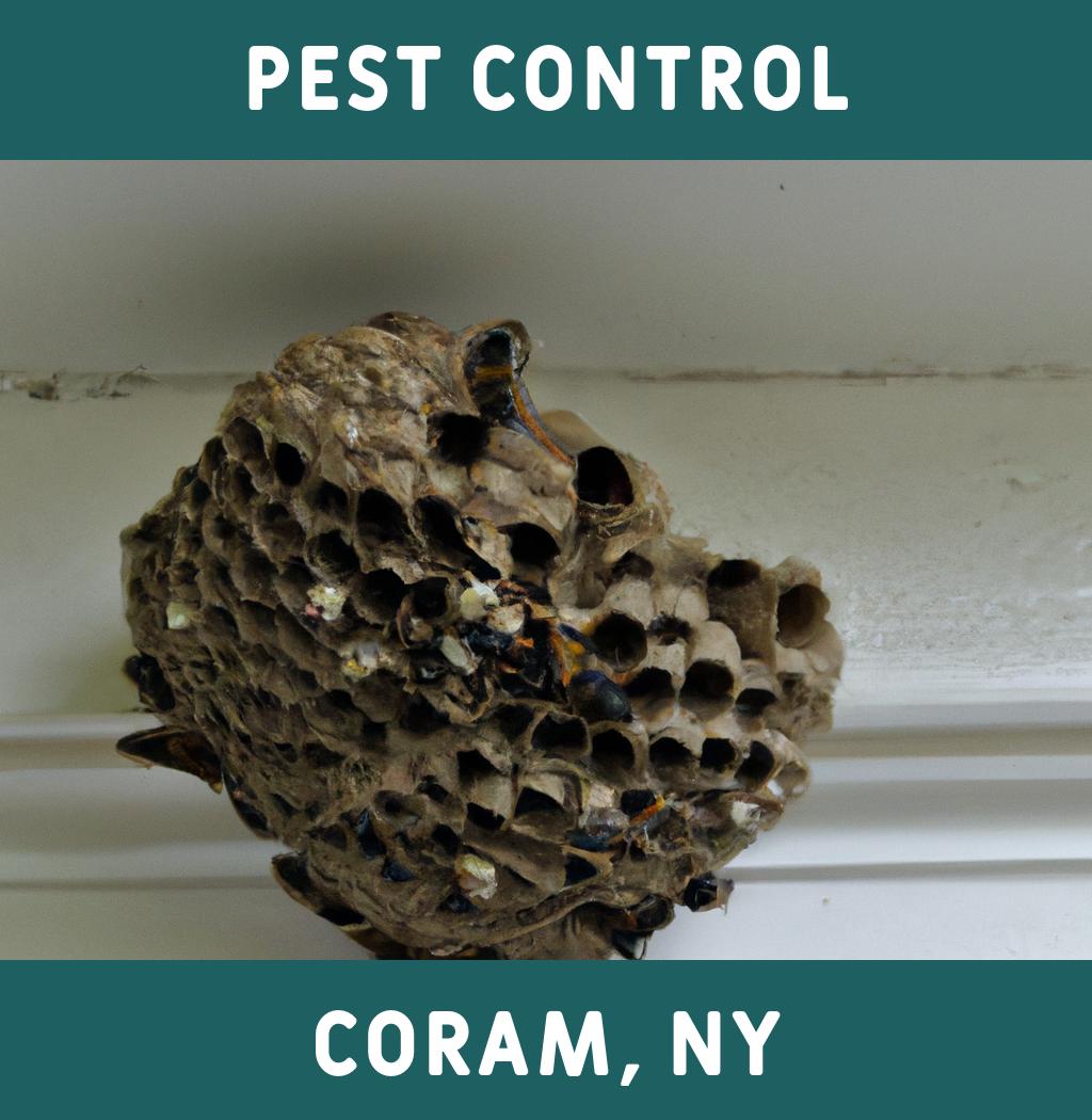 pest control in Coram New York