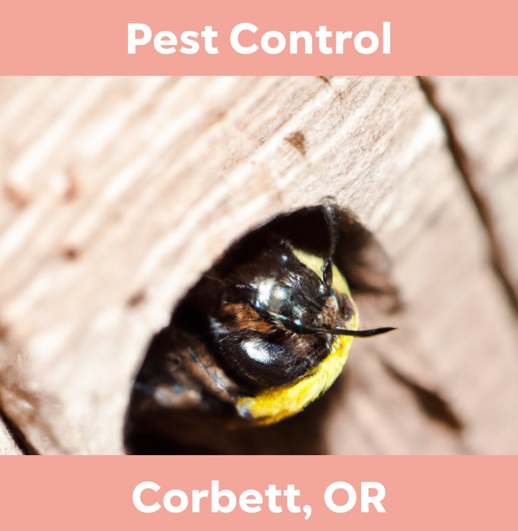 pest control in Corbett Oregon