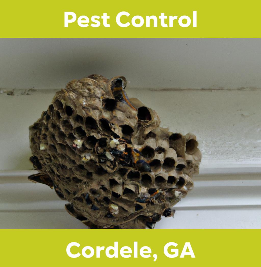pest control in Cordele Georgia