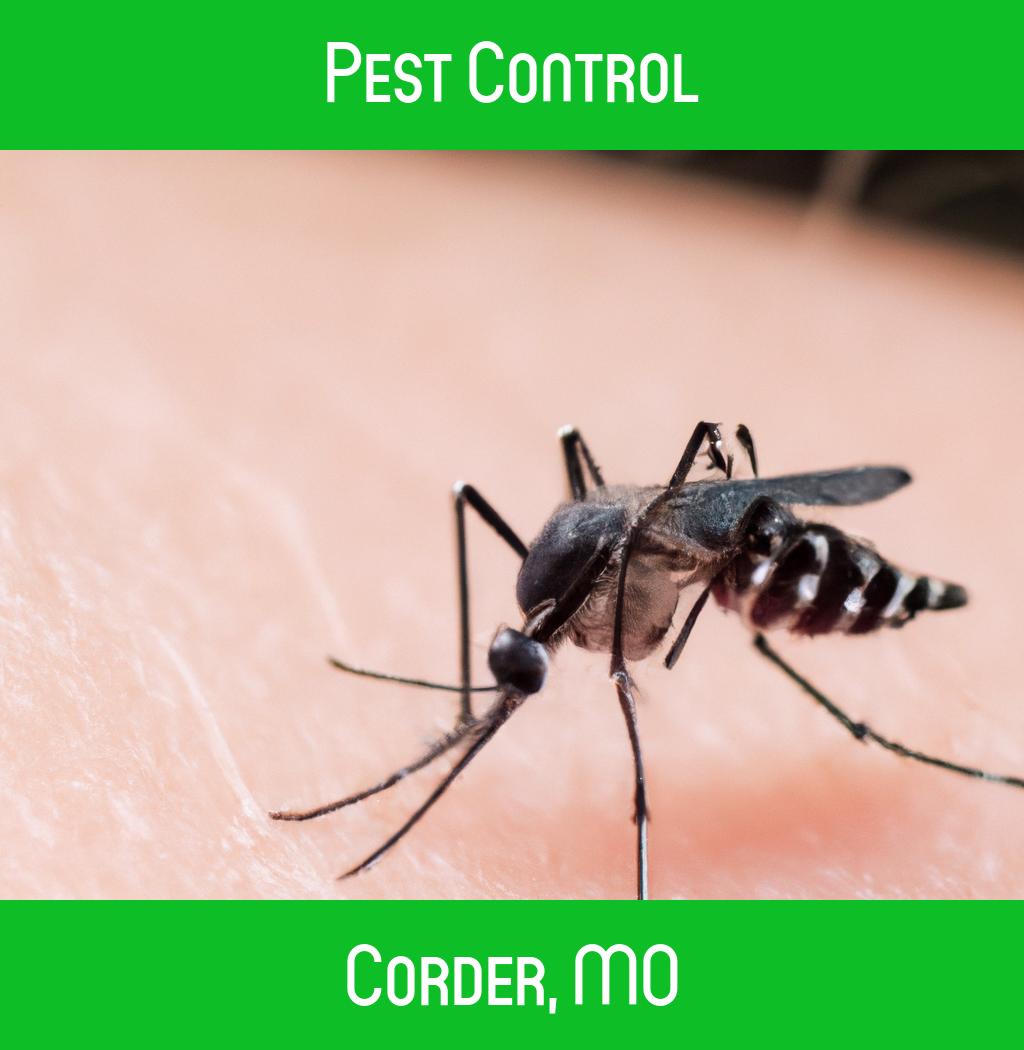pest control in Corder Missouri