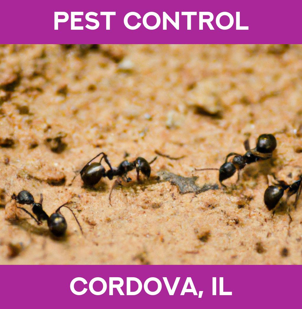 pest control in Cordova Illinois