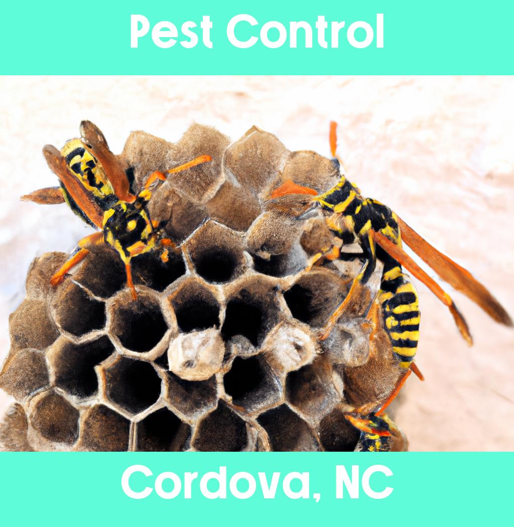 pest control in Cordova North Carolina