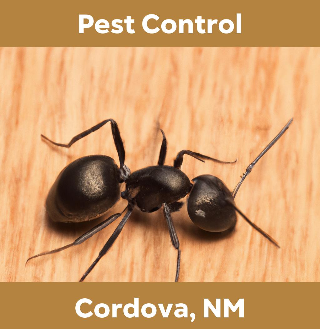 pest control in Cordova New Mexico