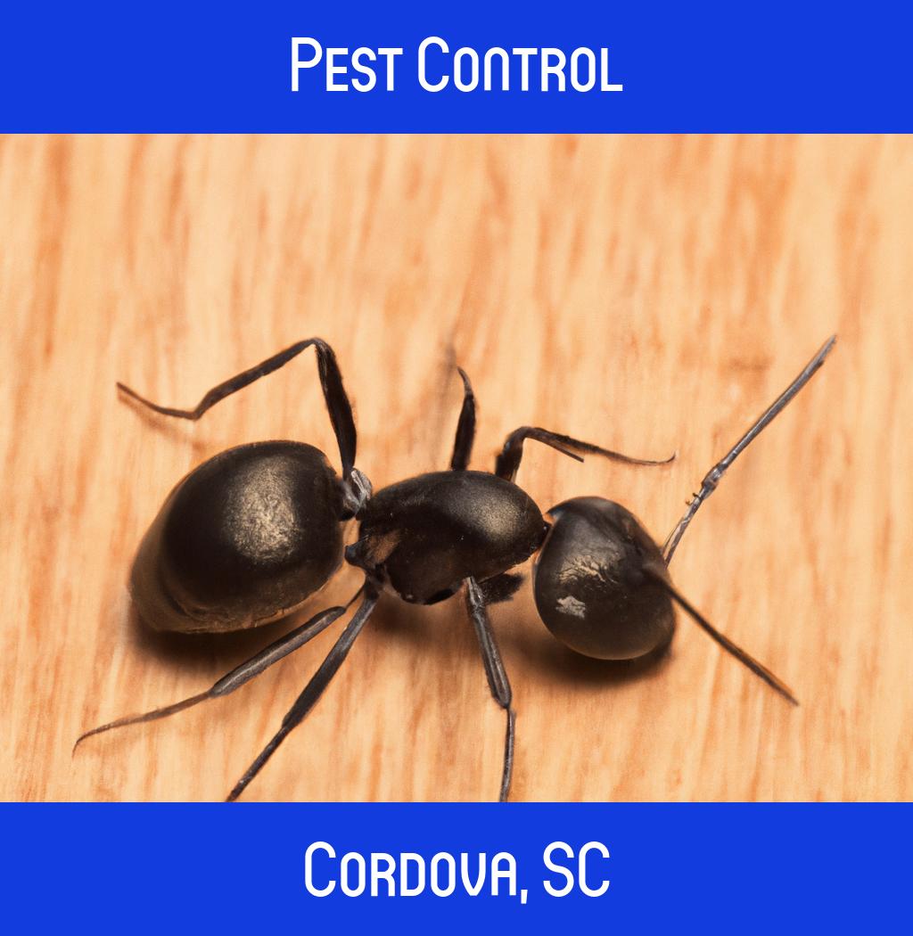 pest control in Cordova South Carolina