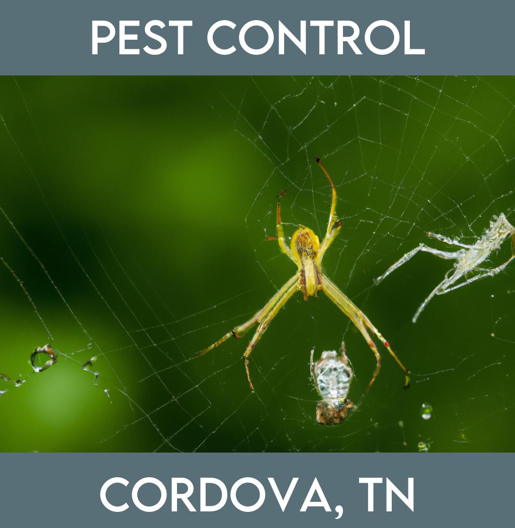 pest control in Cordova Tennessee